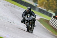 PJ-Motorsport-Photography-2020;anglesey;brands-hatch;cadwell-park;croft;donington-park;enduro-digital-images;event-digital-images;eventdigitalimages;mallory;no-limits;oulton-park;peter-wileman-photography;racing-digital-images;silverstone;snetterton;trackday-digital-images;trackday-photos;vmcc-banbury-run;welsh-2-day-enduro